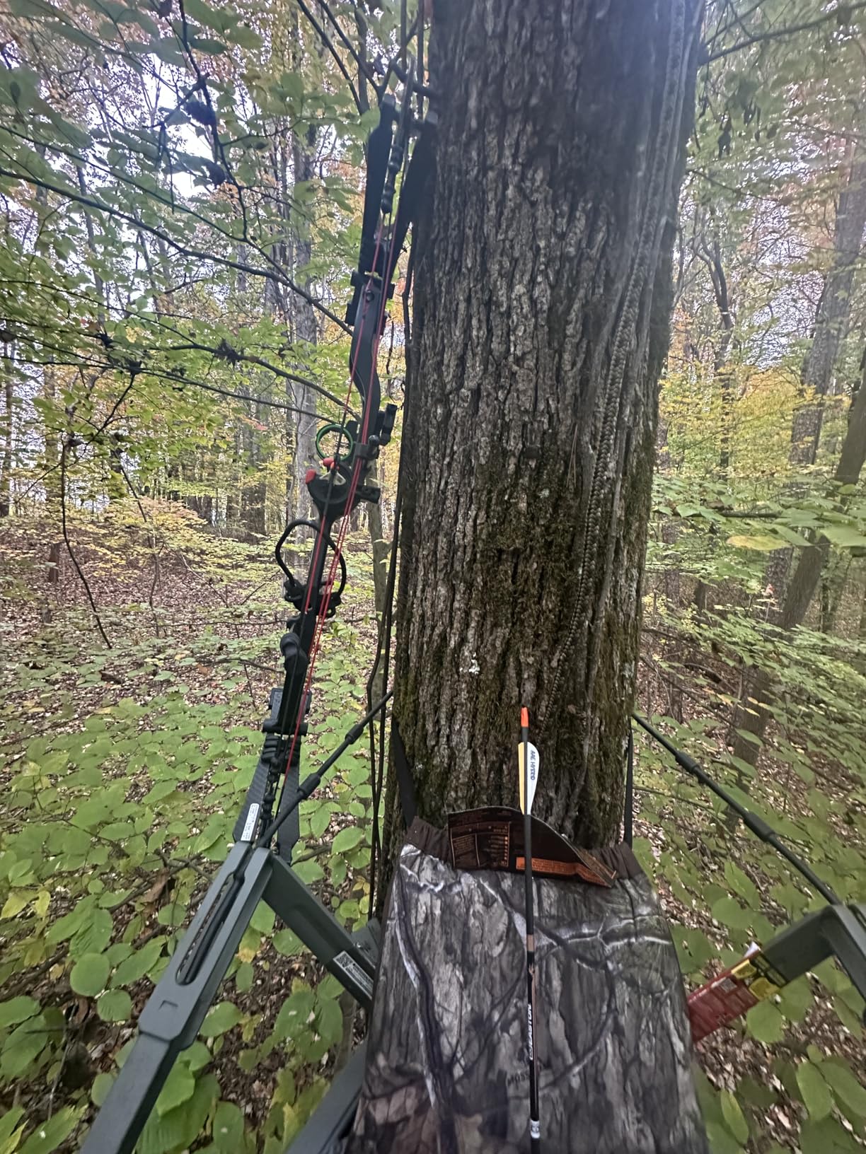 Hunter Safety System 4X/5X Harness, Ultra-Lite Tree Stand Safety Harness Built for Hunters Up to 400 lbs customer photo 1
