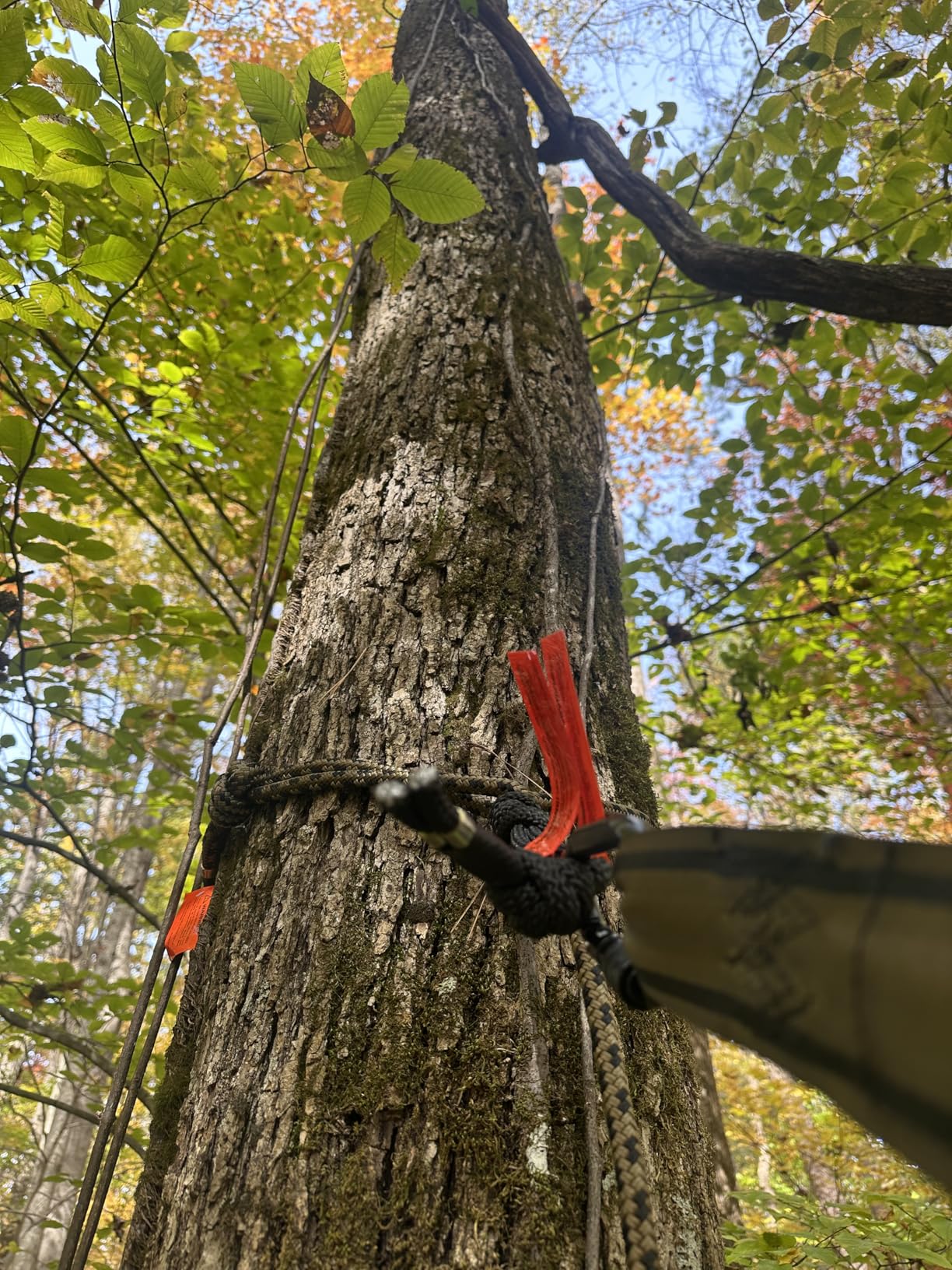 Hunter Safety System 4X/5X Harness, Ultra-Lite Tree Stand Safety Harness Built for Hunters Up to 400 lbs customer photo 2