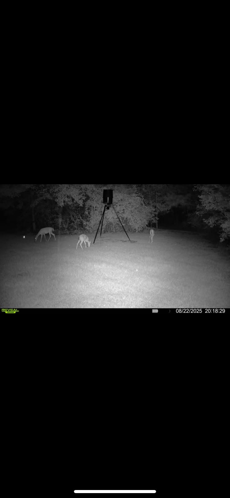 TACTACAM Reveal X 3.0 Cellular Trail Camera - Auto Connect 4G LTE, 4K Photo, 1080p Video, Low-Glow IR Flash, No SD Card Needed, Long Battery Life, Best Hunting & Property Camera customer photo 2