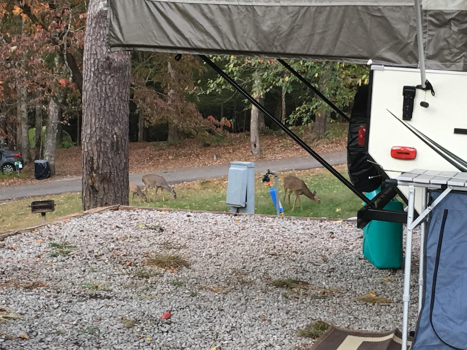 Camco Tastepure RV Water Filter - Advanced RV Inline Water Filter with Flexible Hose Protector - GAC & KDF Filtration - Made in USA - Camping Essentials for Fresh Drinking Water (40043) customer photo 2