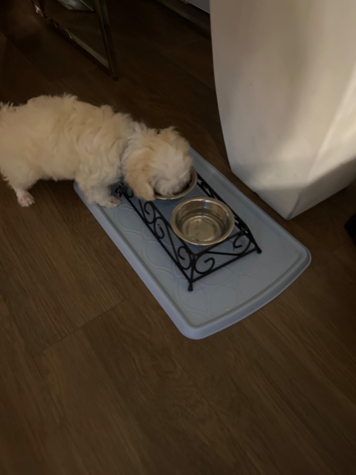 Purina Pro Plan Wet Puppy Food Pate, Classic Chicken and Rice Entree - (Pack of 12) 13 oz. Cans customer photo 2