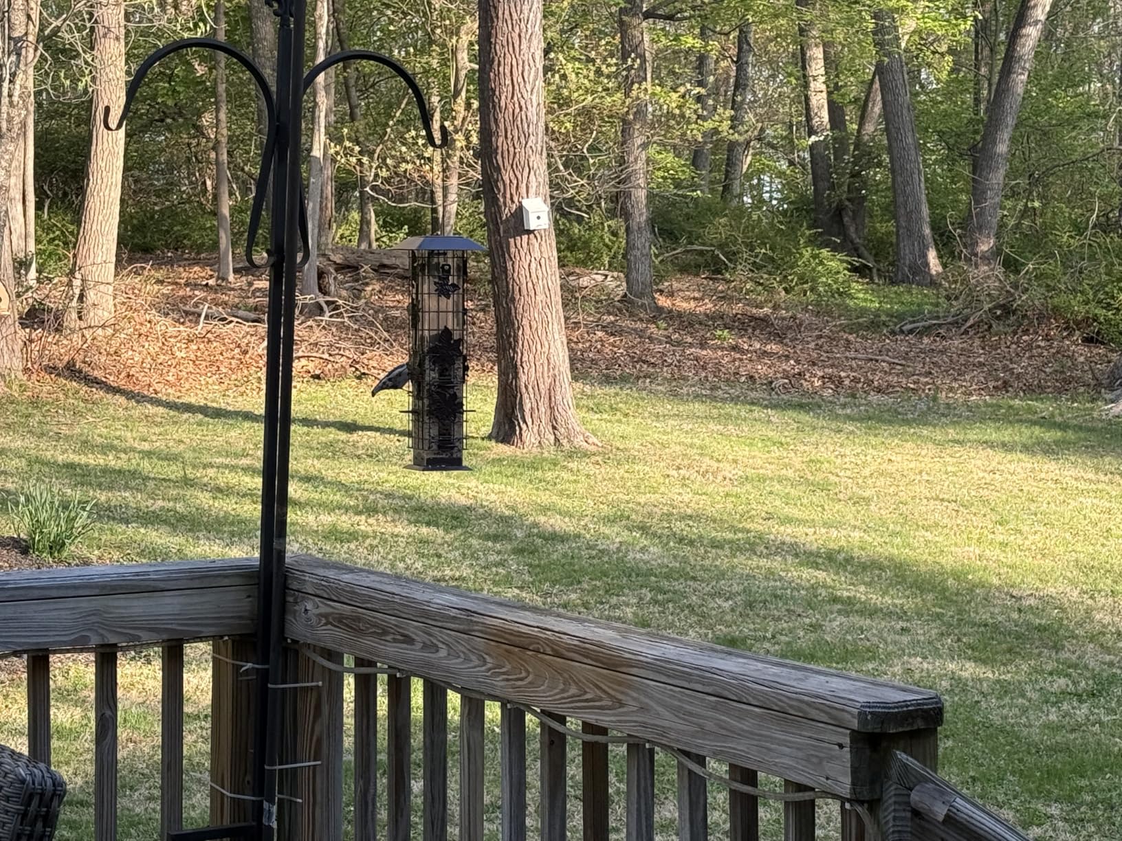 Perky-Pet 336-1SR Squirrel-Be-Gone Squirrel Proof Bird Feeder, 2LB, Outdoor Wild Bird Feeder with Weight-Activated Perches customer photo 2