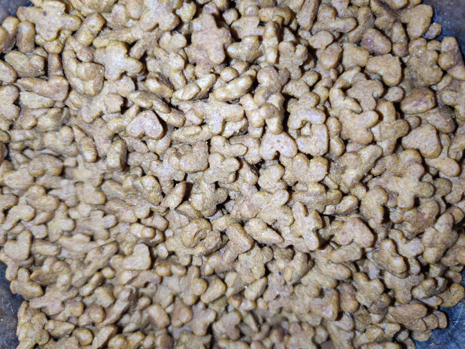 Purina Kitten Chow Nurturing Formula Kitten Dry Cat Food, 14 lb. Bag customer photo 2