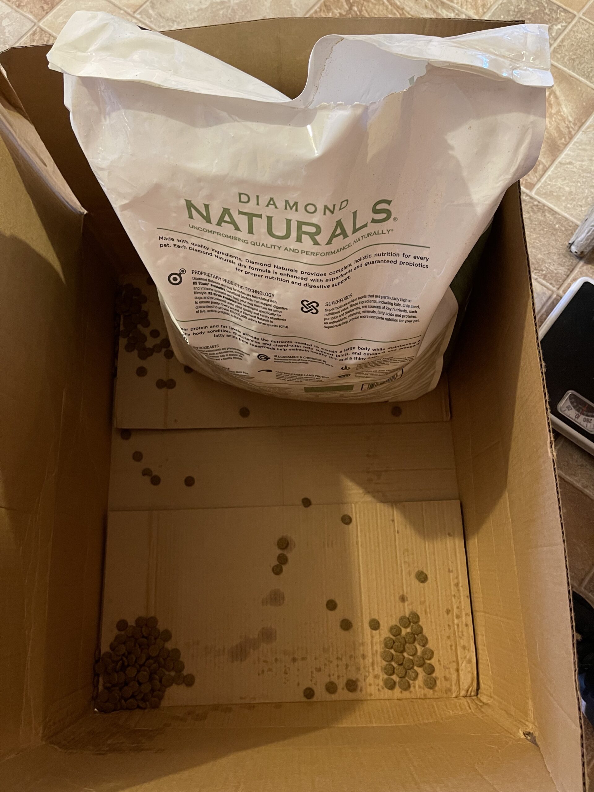 Diamond Naturals Large Breed Adult Dry Dog Food Lamb Meal and Rice Formula, 40lb customer photo 2