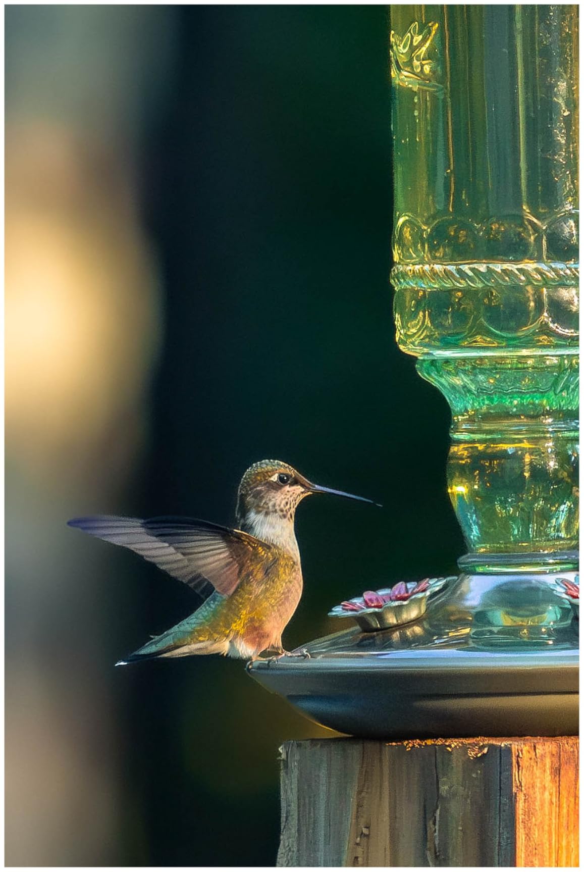 Perky-Pet Glass Bottle Hummingbird Feeder - Outdoor Garden Decor Humming bird Feeder, 8108-1SR - 10 Fl Oz Nectar Capacity - Durable Green Antique Design - Hang from Tree, Porch, Deck, Hook customer photo 1