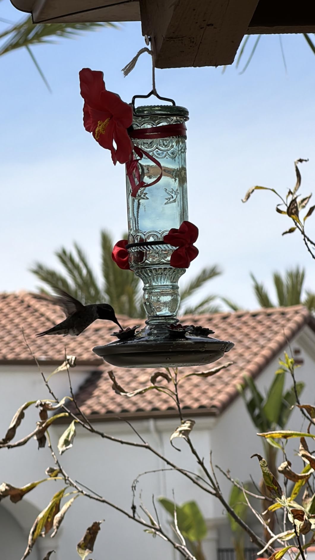 Perky-Pet Glass Bottle Hummingbird Feeder - Outdoor Garden Decor Humming bird Feeder, 8108-1SR - 10 Fl Oz Nectar Capacity - Durable Green Antique Design - Hang from Tree, Porch, Deck, Hook customer photo 2