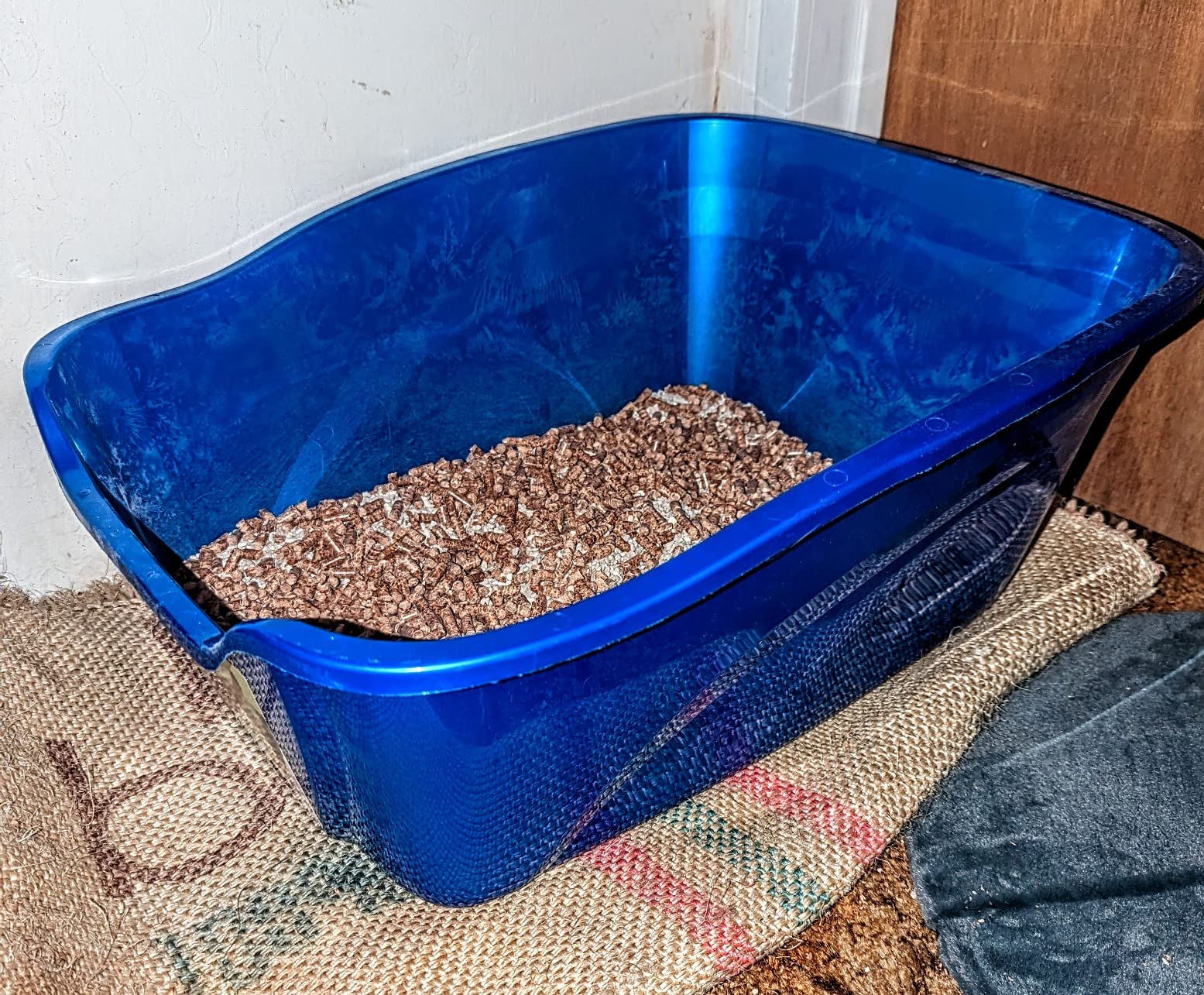 Pureness Giant High Sides Cat Litter Pan, Colors may Vary customer photo 2