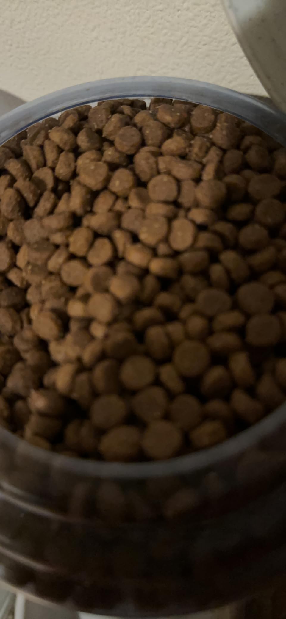 Fromm Puppy Gold Premium Dry Dog Food - Dry Puppy Food for Medium & Small Breeds - Chicken Recipe - 5 lb customer photo 2