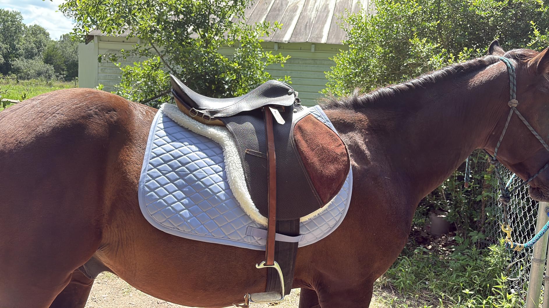 TuffRider Basic All Purpose Horse Riding Saddle Pad | Wither Relief Brushed Underside for Training and Competition customer photo 2