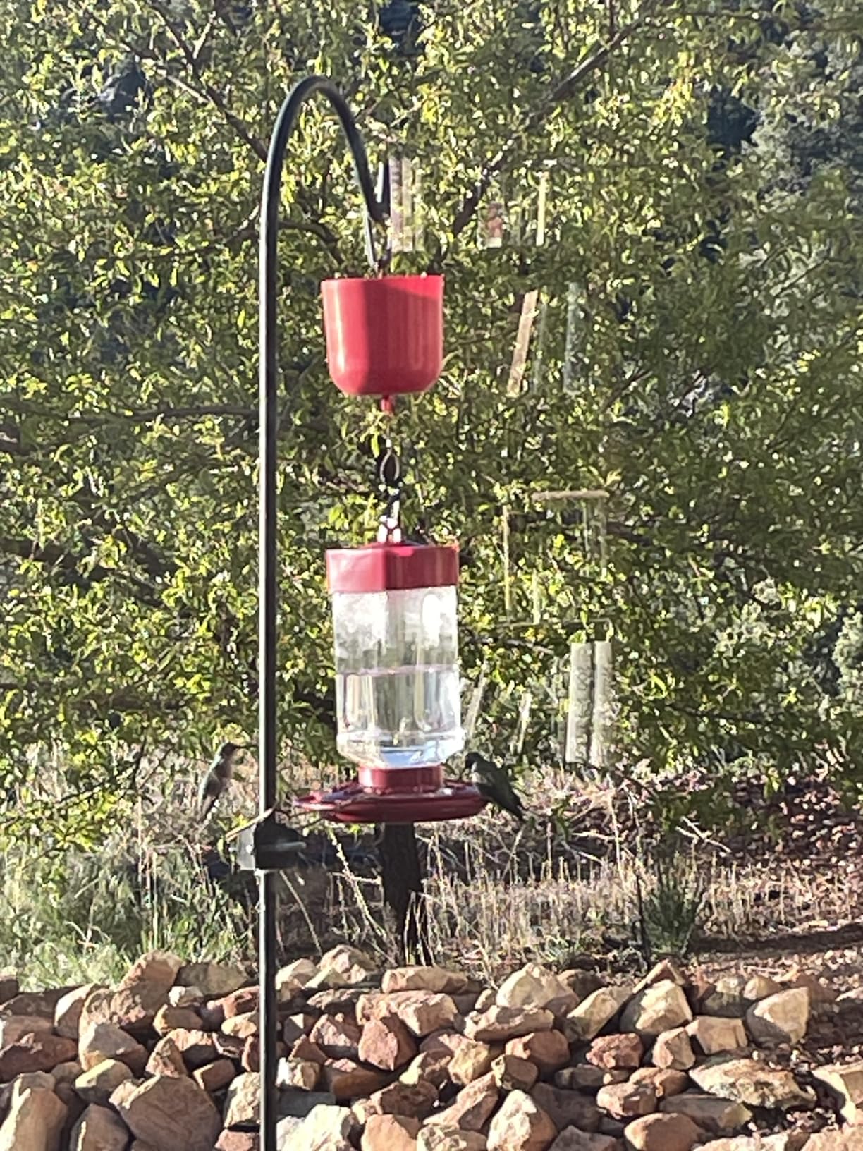 First Nature, 3055 32-Ounce Hummingbird Feeder, Wide-Mouth Reservoir and Patented Two-Part Base is Easy to Fill and Clean, 993355-446 customer photo 1