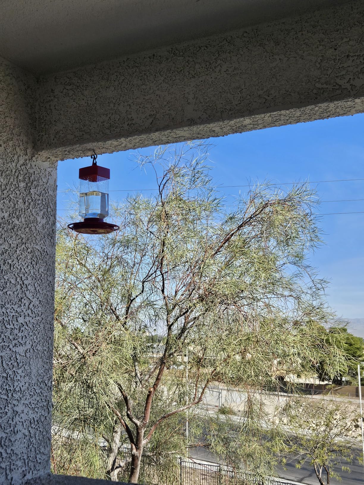 First Nature, 3055 32-Ounce Hummingbird Feeder, Wide-Mouth Reservoir and Patented Two-Part Base is Easy to Fill and Clean, 993355-446 customer photo 2