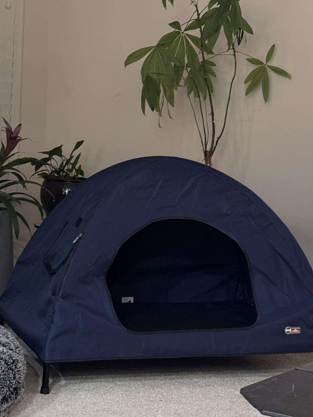 K&H Pet Products Pet Cot House for Large Dogs, Outdoor Elevated Dog Cot House, Enclosed Canopy, Window Flaps for Air Flow, Washable Cover, Raised Metal Frame, Collapsible - Large 42 X 30in Blue customer photo 1