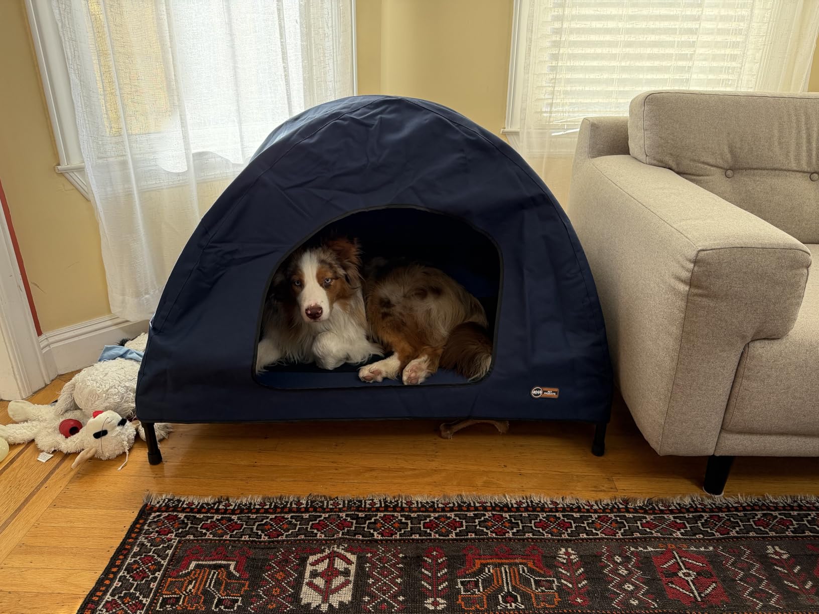 K&H Pet Products Pet Cot House for Large Dogs, Outdoor Elevated Dog Cot House, Enclosed Canopy, Window Flaps for Air Flow, Washable Cover, Raised Metal Frame, Collapsible - Large 42 X 30in Blue customer photo 2