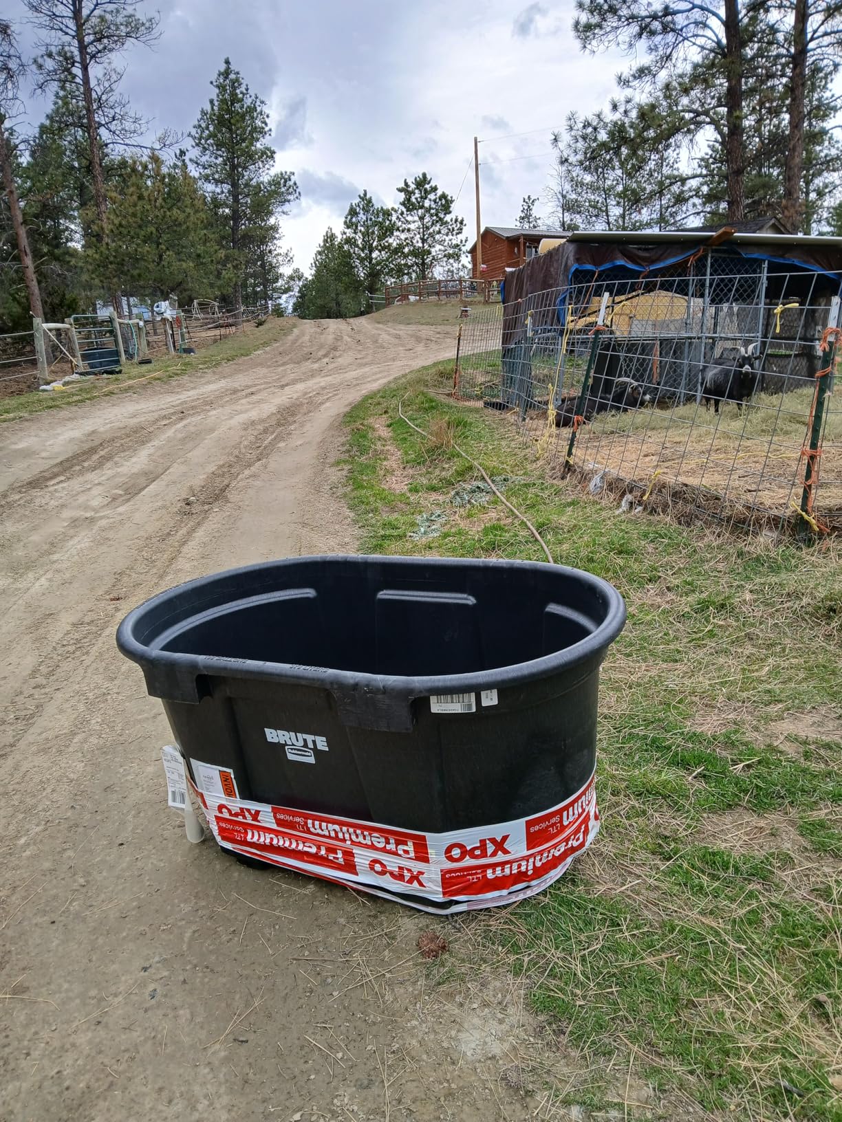 Rubbermaid Commercial Products Stock Tank, 150-Gallons, Structural Foam, Heavy Duty Container, for Livestock/Animal/Cattle Feed & Water, Outdoor Homemade Pool/Hot Tub/Bathtub, & Pet Cleaning/Dog Wash customer photo 1