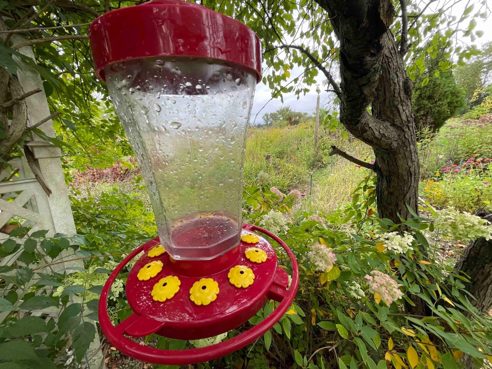 First Nature 3090 32-Ounce Hummingbird Flower Feeder customer photo 1