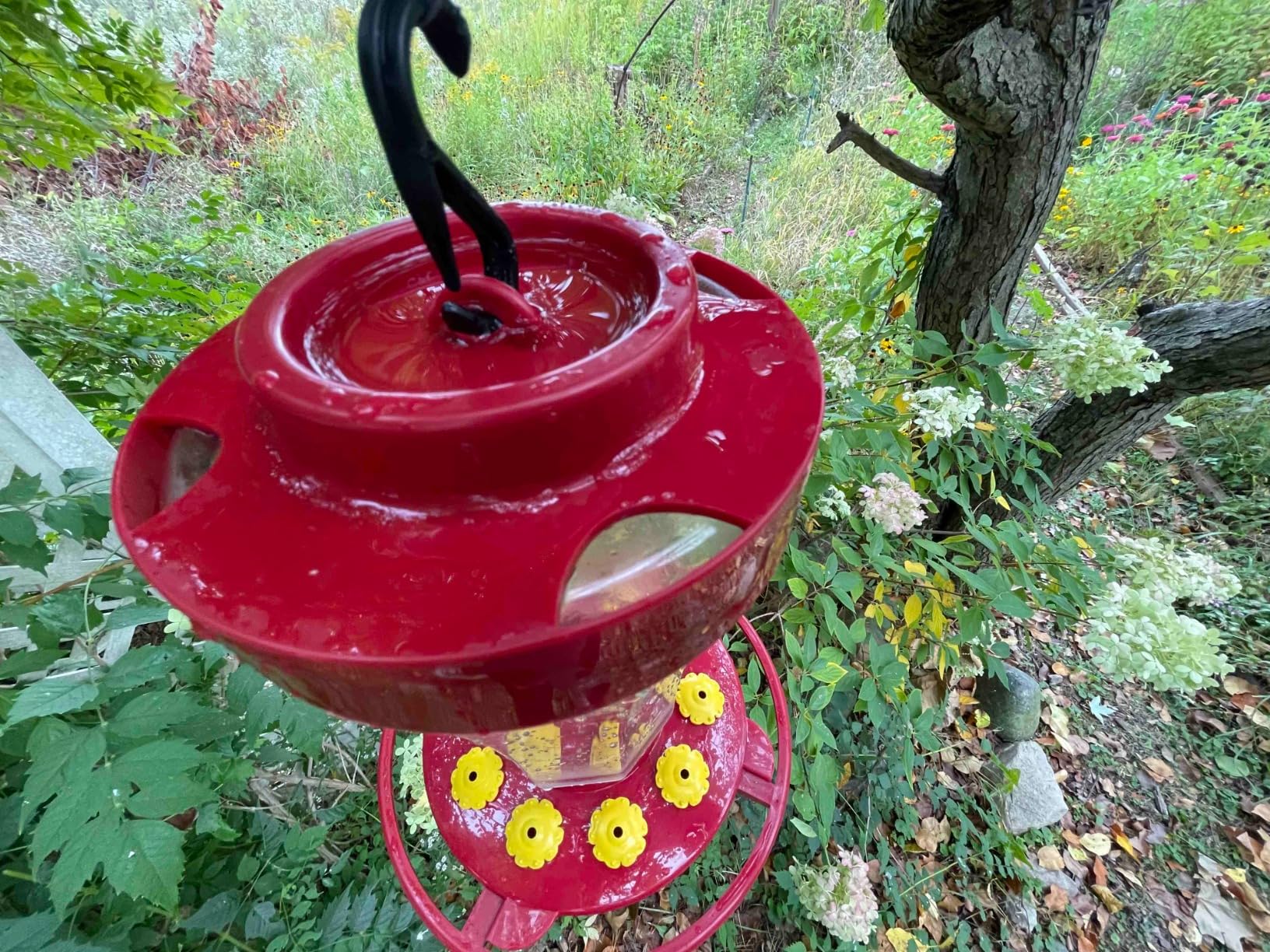 First Nature 3090 32-Ounce Hummingbird Flower Feeder customer photo 2