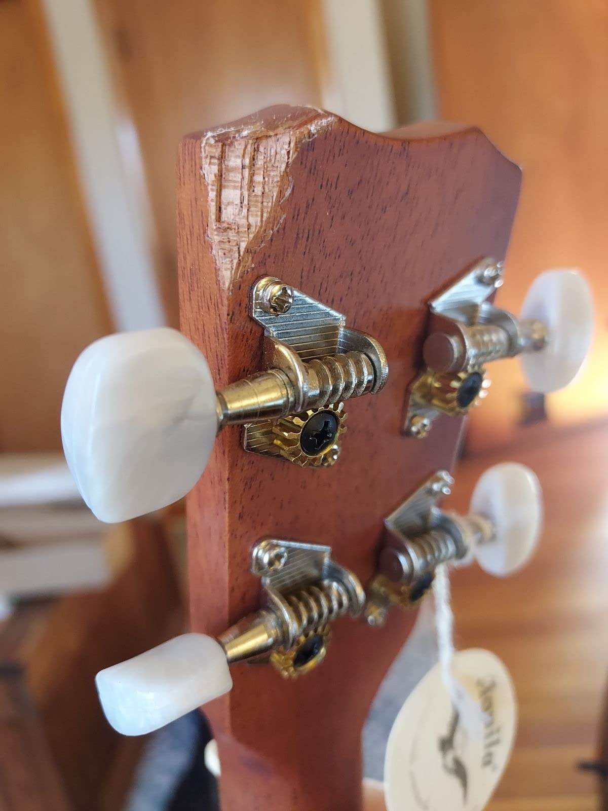 Cordoba 20BM Baritone Ukulele customer photo 2