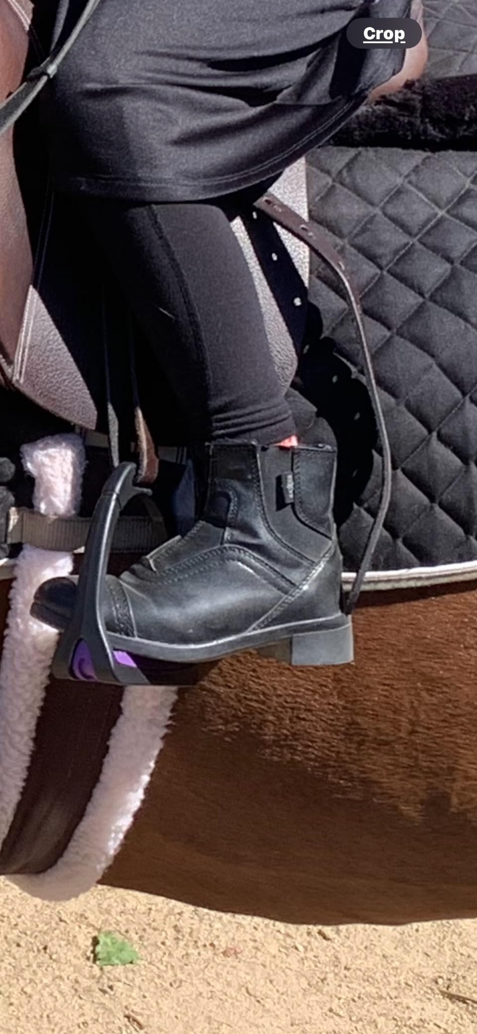EQUISTAR Ladies All-Weather Zip Paddock customer photo 1