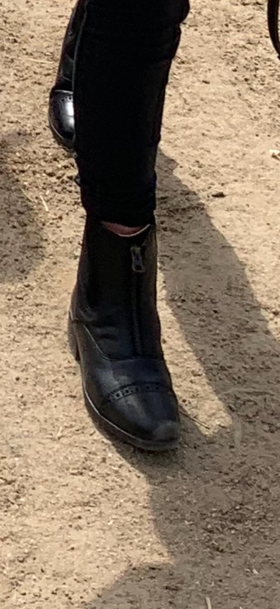 EQUISTAR Ladies All-Weather Zip Paddock customer photo 2