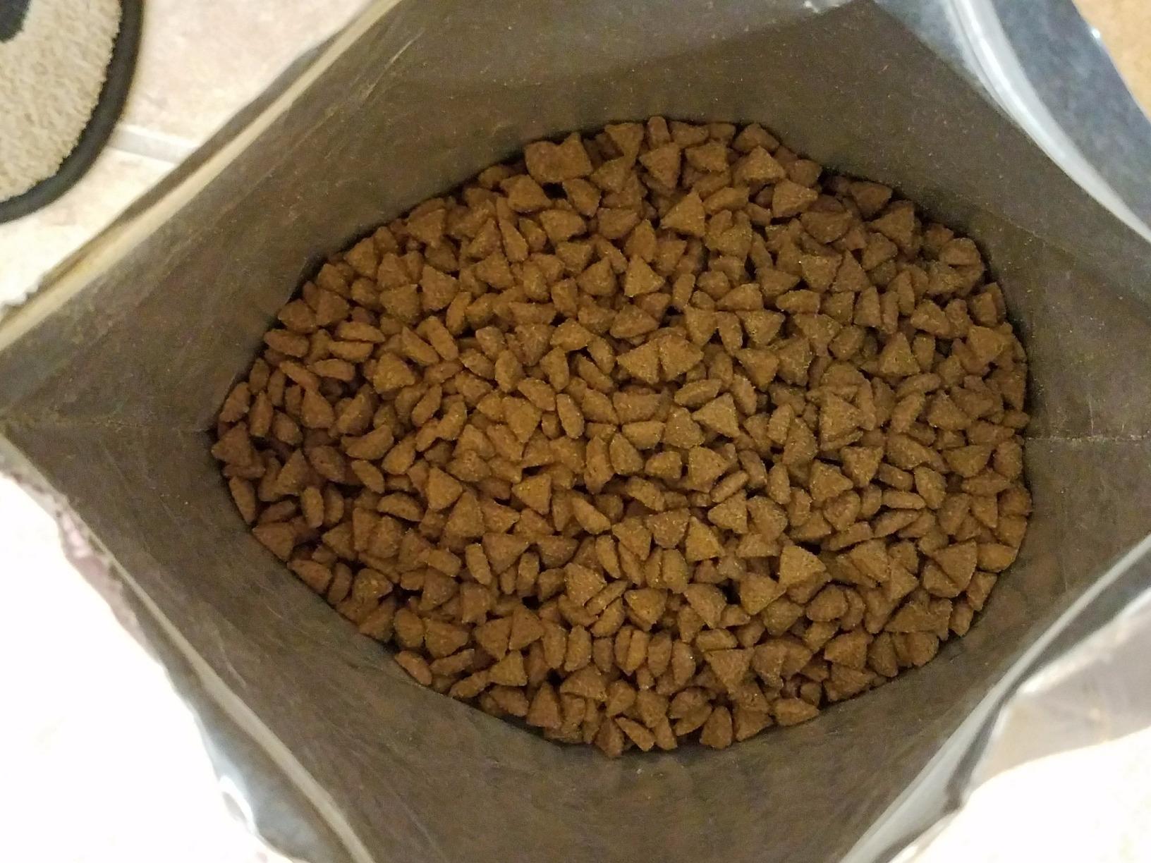 Wellness CORE Small Breed Adult Dry Dog Food, Grain Free, Turkey and Chicken Recipe, 4 lb Bag customer photo 1