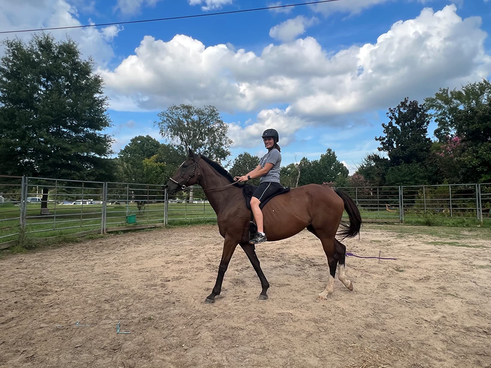 Intrepid International Comfort Plus Western Bareback Saddle, Anti-Slip Horse Saddle Pad, Bareback Pad w/Girth, Trail & Leisurely Riding, Horse Saddle Pads customer photo 4
