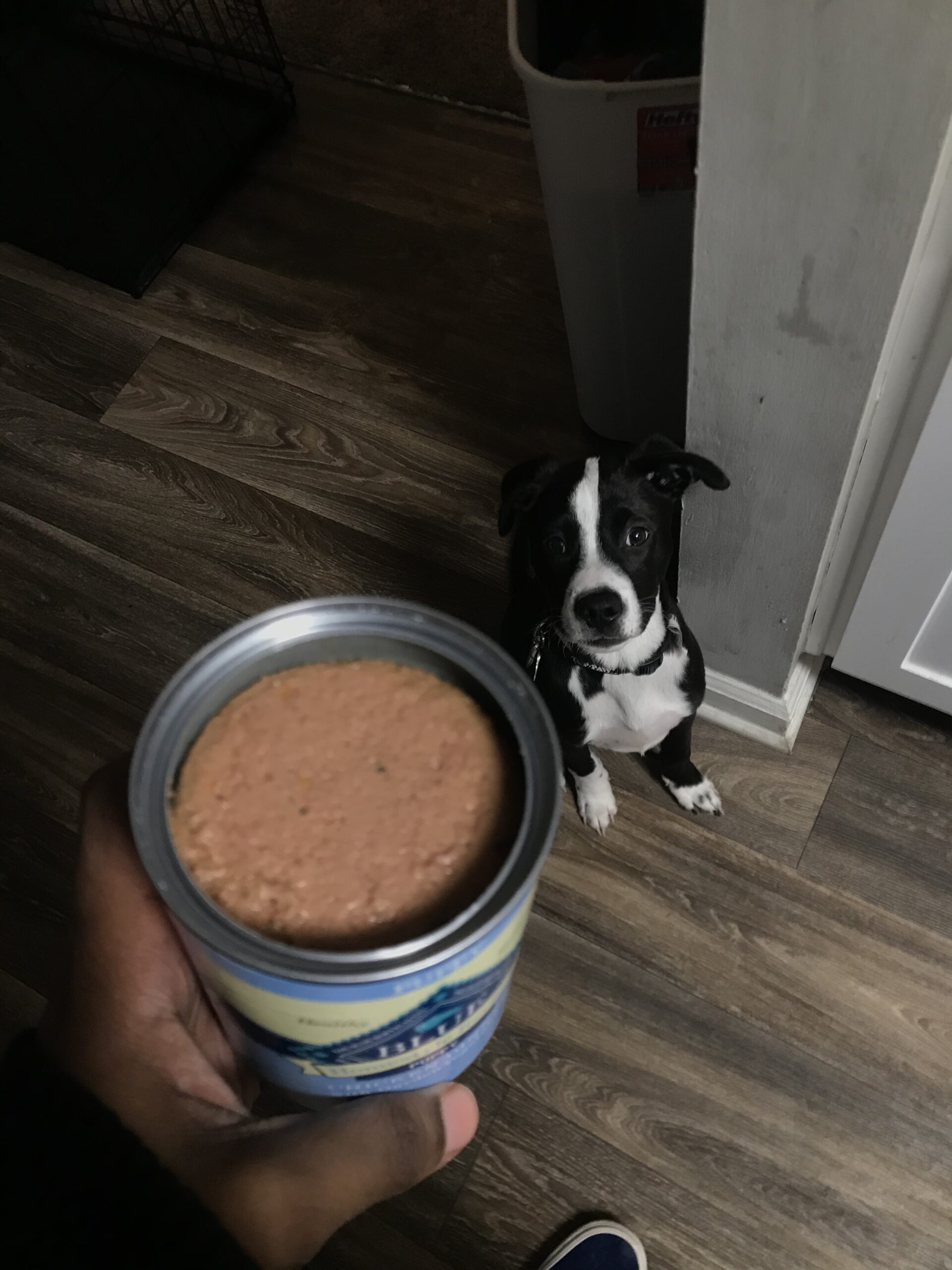 Blue Buffalo Homestyle Recipe Puppy Wet Dog Food, Chicken Dinner with Garden Vegetables & Brown Rice, 12.5-oz Cans (12 Count) customer photo 2