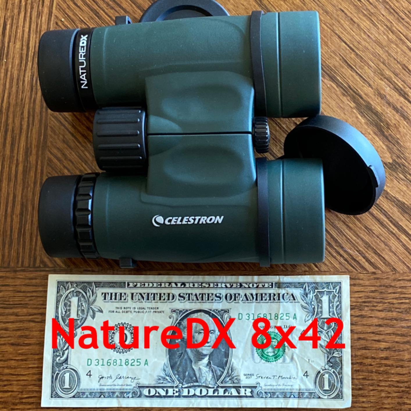 Celestron - Nature DX 8x42 Binoculars - Ideal for Birding and Outdoors - 42mm Objective Lenses - Wide 7.4 Degree Field of View - BaK-4 Prisms - Fully Multi-Coated - Waterproof and Fogproof customer photo 1