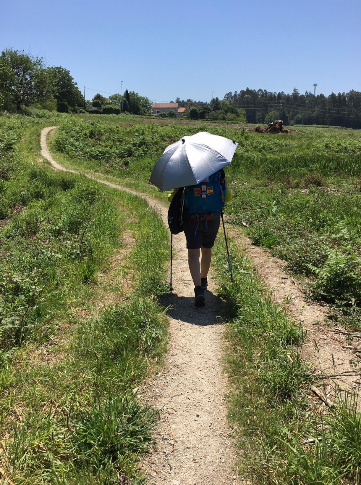 Swing Liteflex Ultra-Light Weight Trekking Umbrella, 37.5 Width, Fixed Fiberglass Shaft customer photo 2