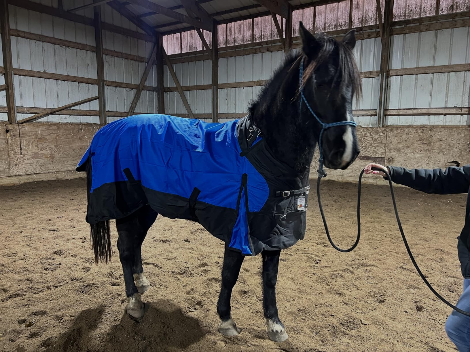TOUGH1 1200D Turnout Blanket with SNUGGIT, 300-G, RED, 75-in customer photo 1