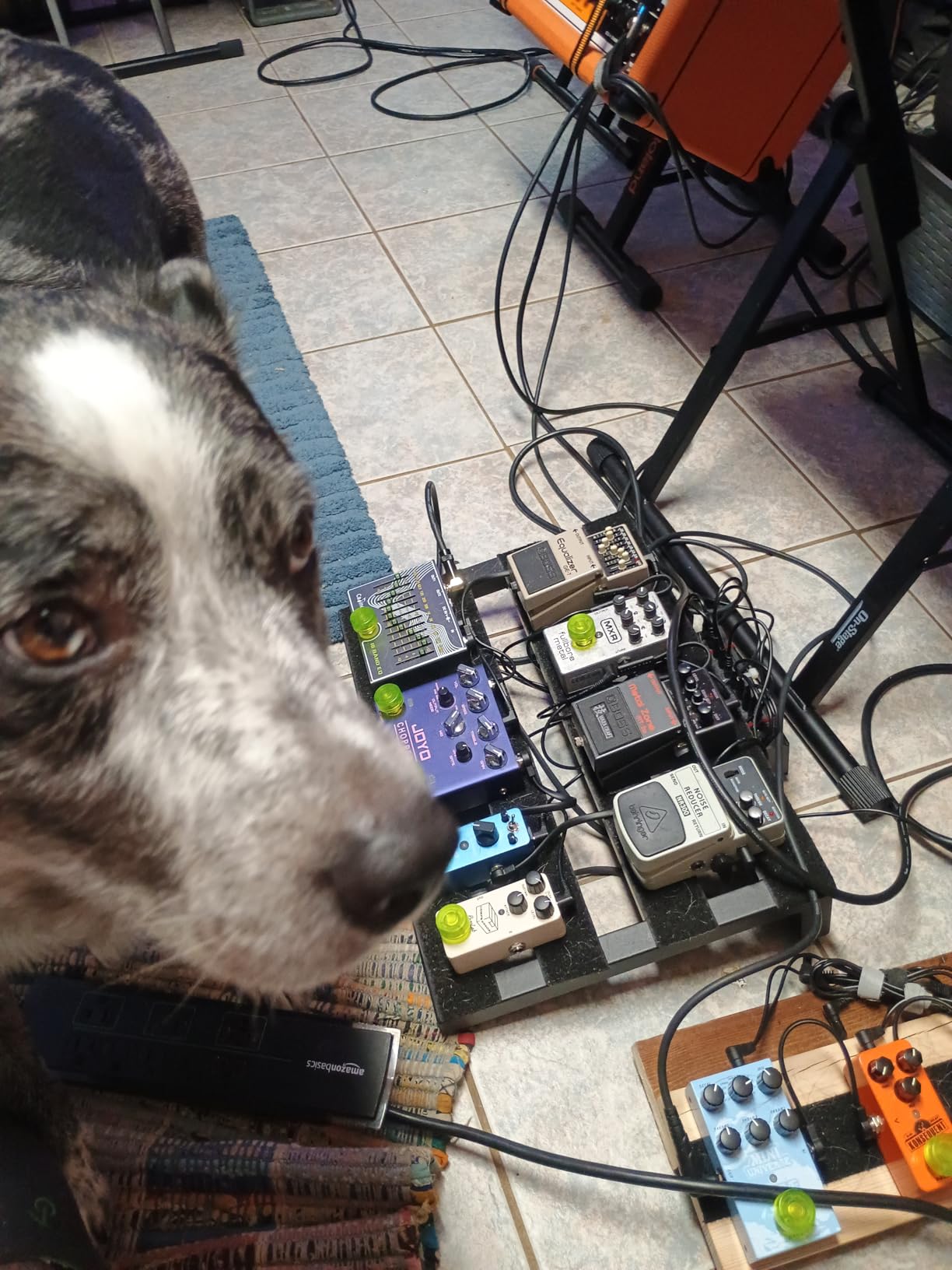 Donner Overdrive Guitar Pedal, Blues Drive Vintage Overdrive Effect Warm/Hot Modes, True Bypass customer photo 2