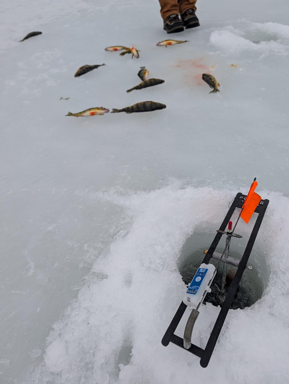 Deep Freeze BlueTipz Tip-Up Ice Fishing Alarm customer photo 2