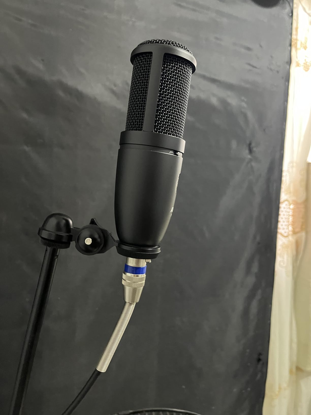 AKG Pro Audio P120 - Affordable 2/3-Inch Diaphragm Condenser Microphone customer photo 2