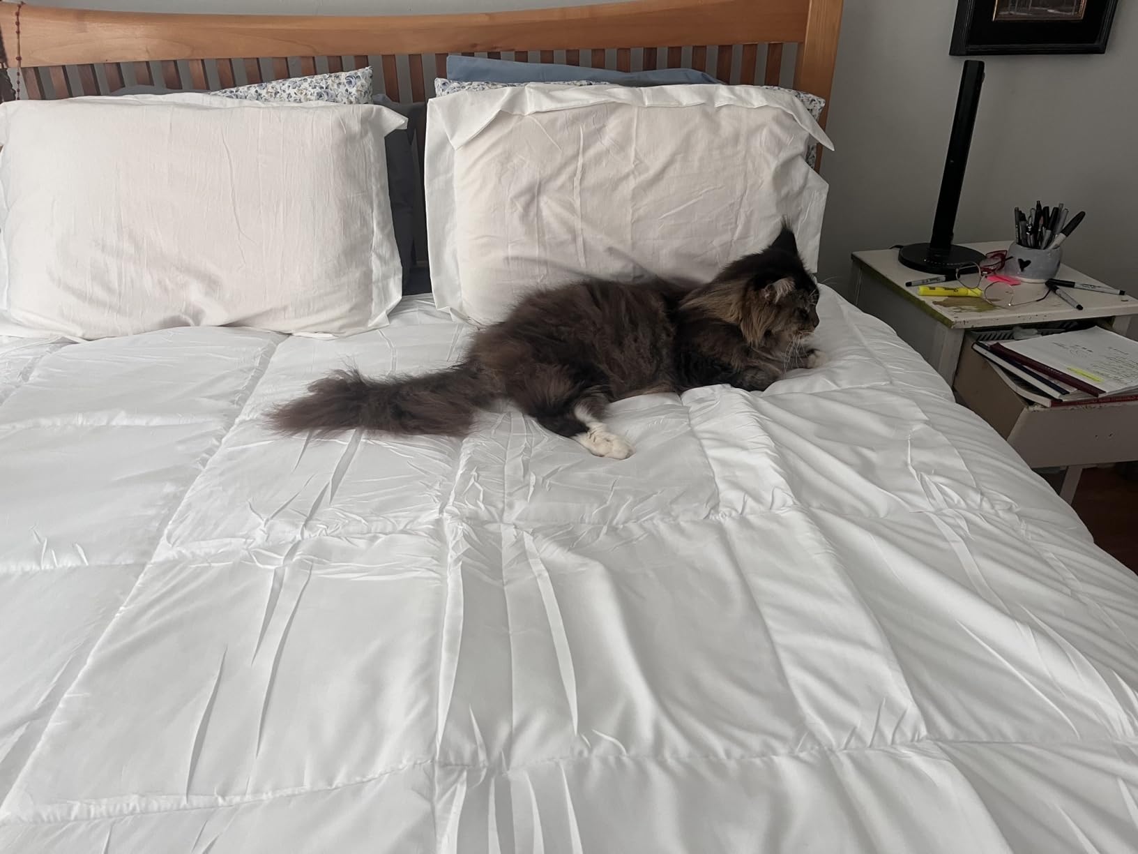 Utopia Bedding Queen Comforter Duvet Insert, Quilted White Comforter with Corner Tabs, Box Stitched Down Alternative Comforters Queen Size 88 x 88 inches customer photo 1