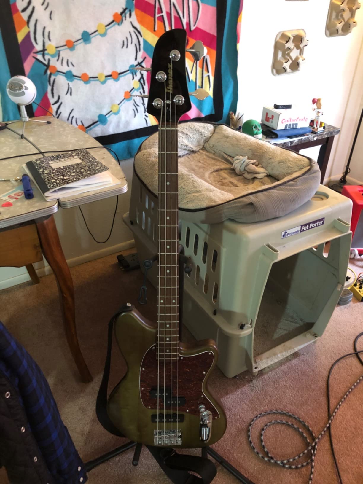 Ibanez TMB100 Talman Bass Guitar - Mint Green customer photo 2