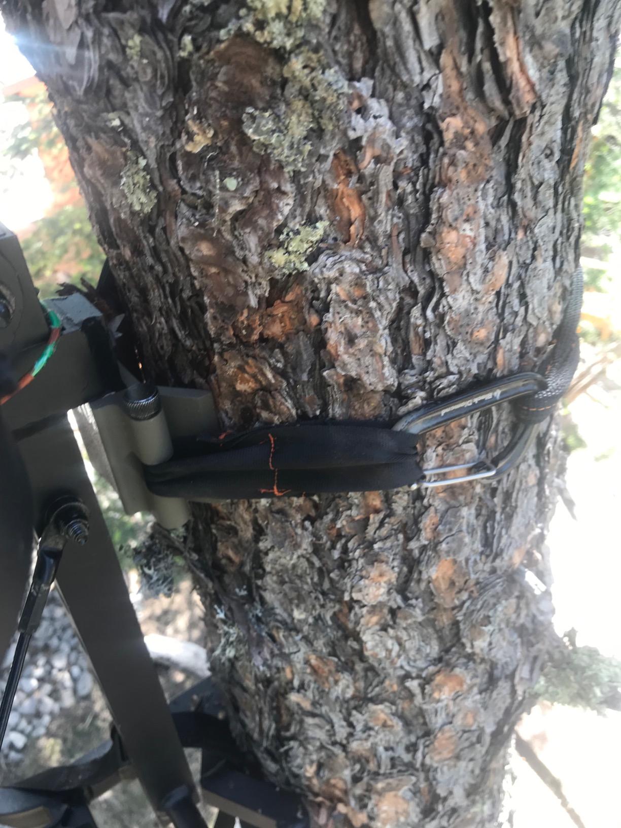 Millennium Treestands M7 Microlite Treestand, black customer photo 2