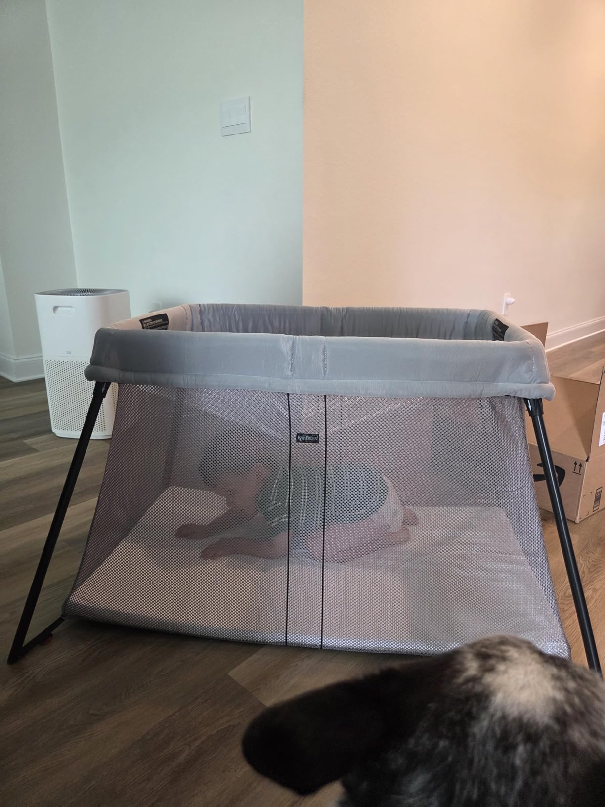 BabyBjorn Travel Crib Light + Fitted Sheet, Black customer photo 2
