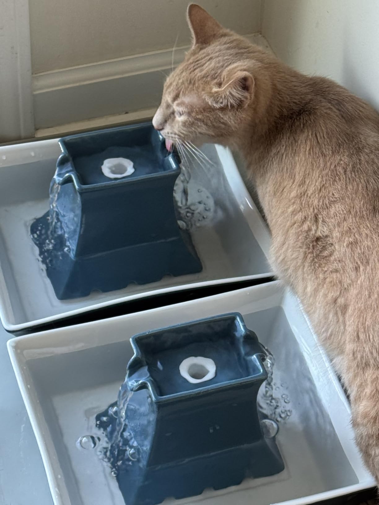 PetSafe Drinkwell Pagoda Pet Fountain, 70 oz/ 2L Capacity, Elevated Indoor Ceramic Cat Fountain, 2 Levels of Free-Falling Streams, Included Carbon & Foam Filter Provide Fresh Water with Every Sip, Blue customer photo 1