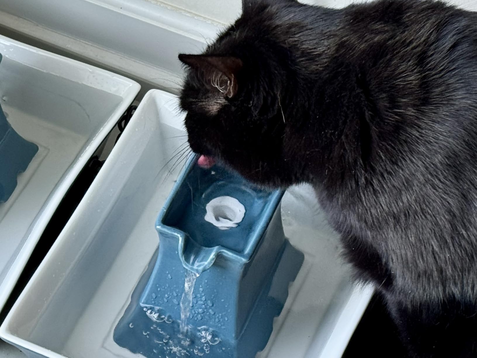PetSafe Drinkwell Pagoda Pet Fountain, 70 oz/ 2L Capacity, Elevated Indoor Ceramic Cat Fountain, 2 Levels of Free-Falling Streams, Included Carbon & Foam Filter Provide Fresh Water with Every Sip, Blue customer photo 2