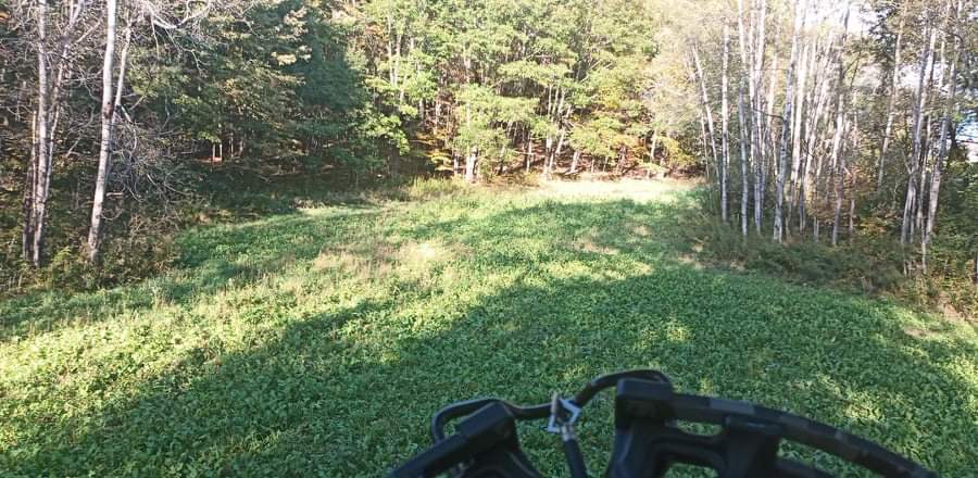Evolved Harvest 7 Card Stud Adaptive Food Plot Seed - Full Season High-Protein & Minerals Forage for Deer customer photo 1