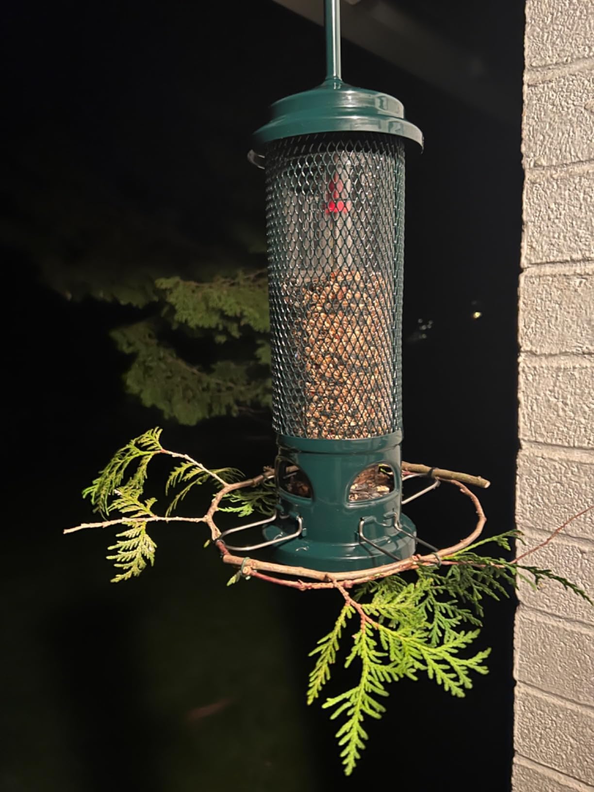 Squirrel Buster Legacy Squirrel-Proof Bird Feeder for Wild Birds - 4 Metal Removable Perches, 2.6 lb Seed Capacity, Chew-Proof Design, Easy to Clean, Green customer photo 2