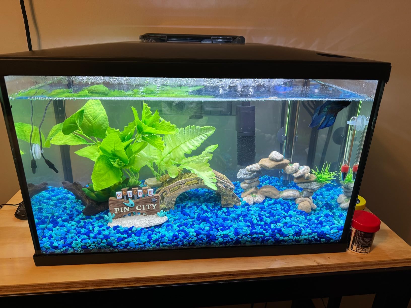 Marina LED Aquarium Kit, 10 gallon customer photo 1