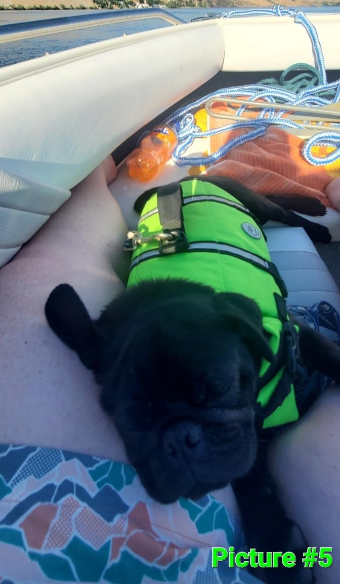 VIVAGLORY Rip Stop Dog Life Vest, Swimming Vest with Handle, Buoyancy for Doggy Puppy, Dog Life Jacket for Swimming & Boating, M, Bright Yellow customer photo 2