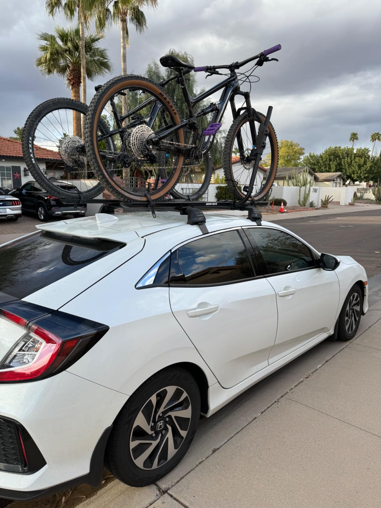 Rhino Rack Bike Roof Rack for Most Bikes, Secure Ratcheting Arm, Three Locking Systems, Ergonomic Handle, Universal Mounting for All Vehicles, Fits Most Bikes (RBC050) customer photo 2