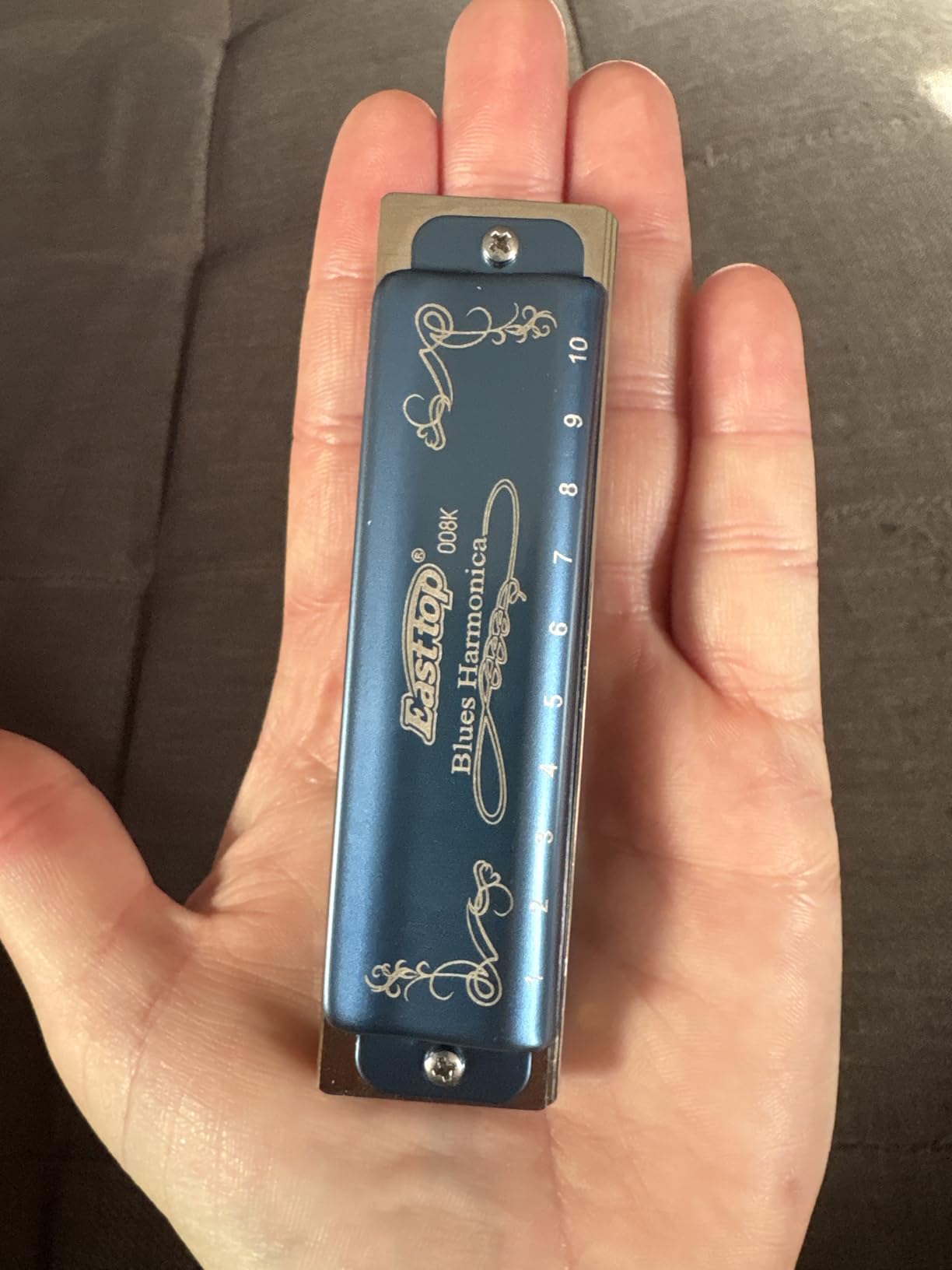 East top Harmonica Key of C, 10 Holes 008K Diatonic Mouth Organ with Blue Case customer photo 2