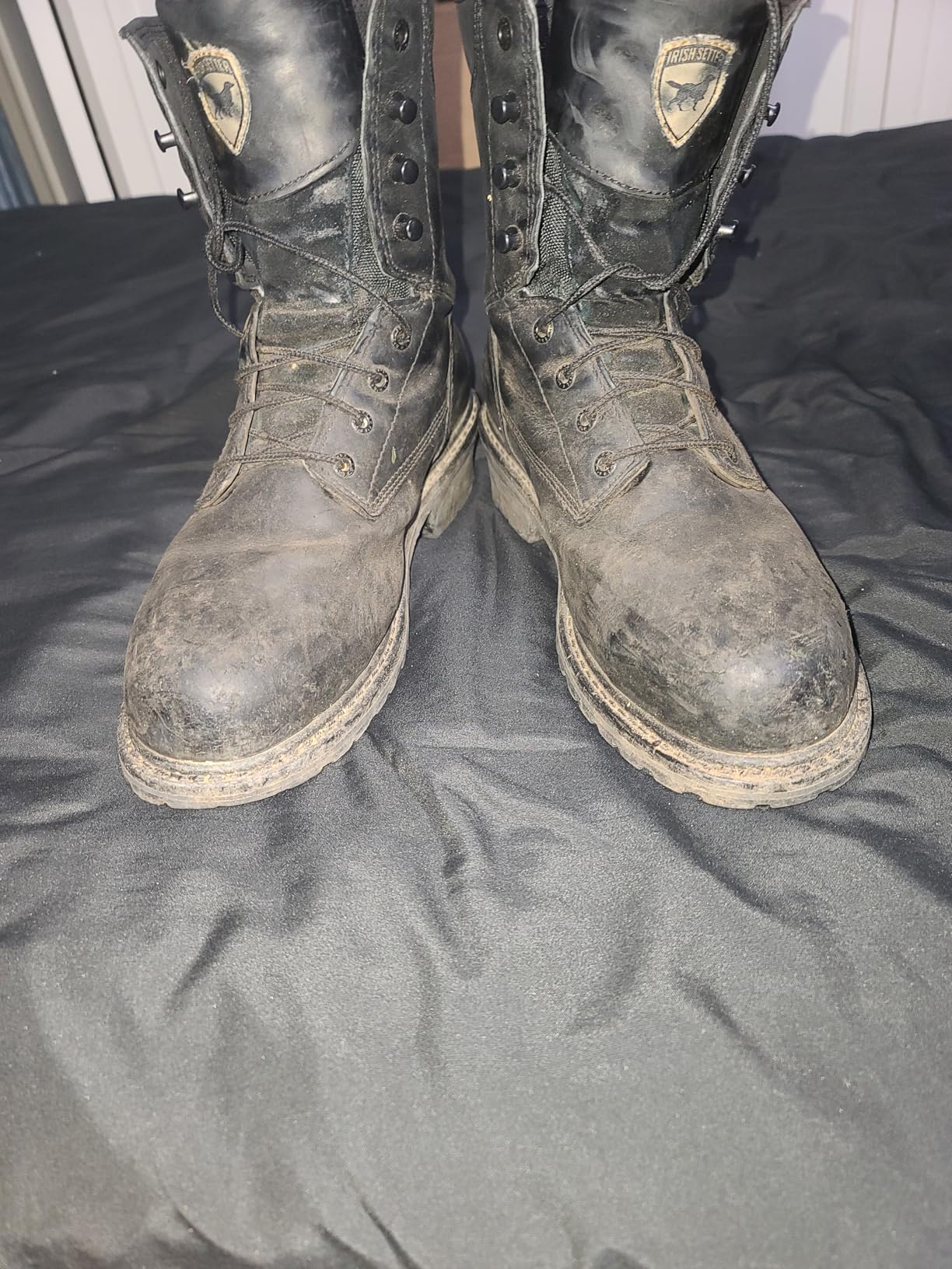 Irish Setter, Mesabi, Men's, 8