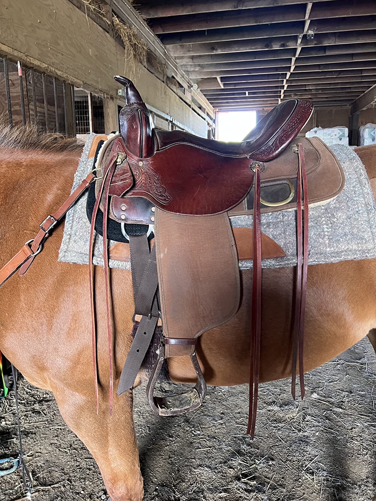 Western Felt Wider Wither Pad customer photo 1