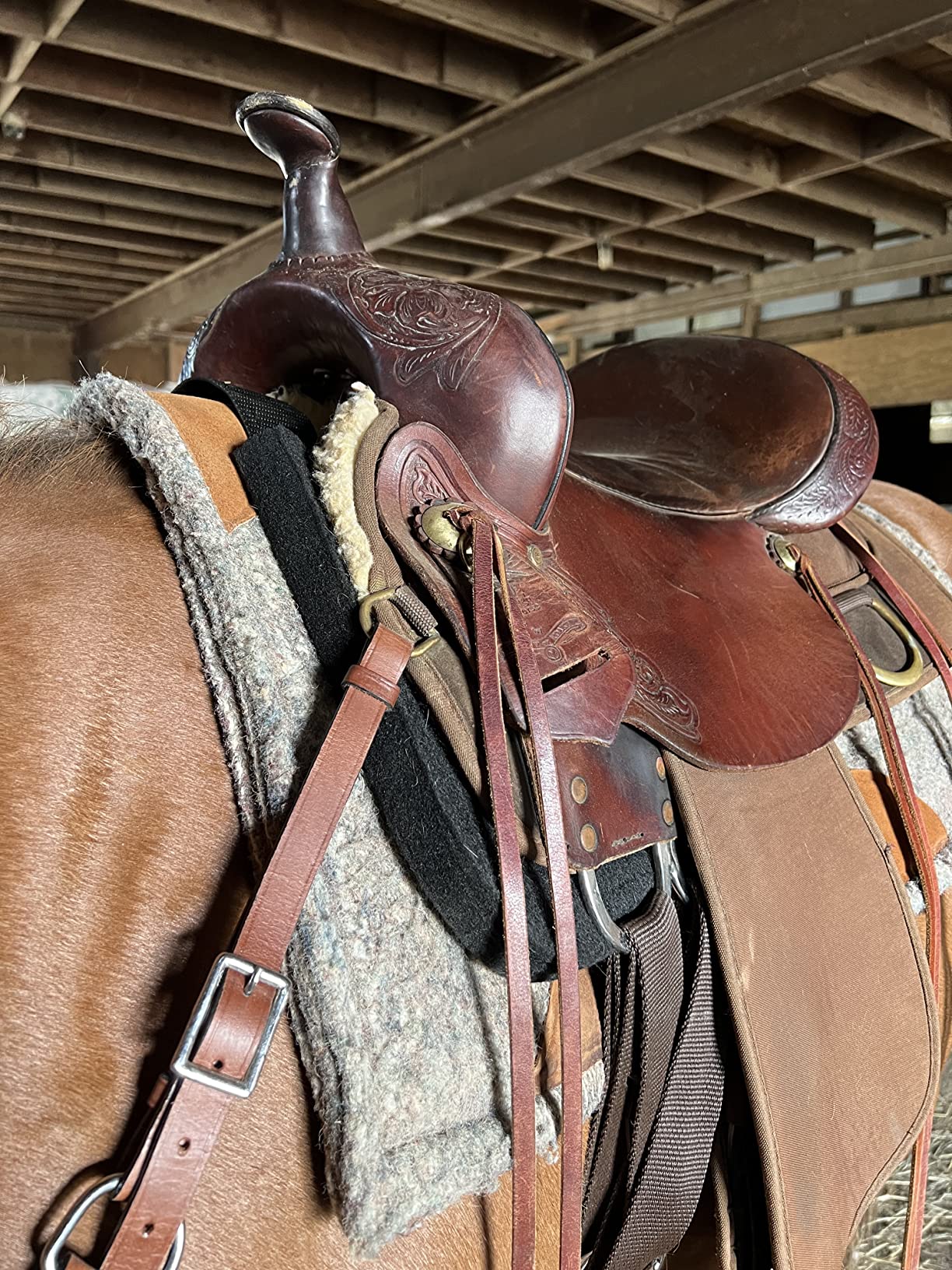 Western Felt Wider Wither Pad customer photo 2