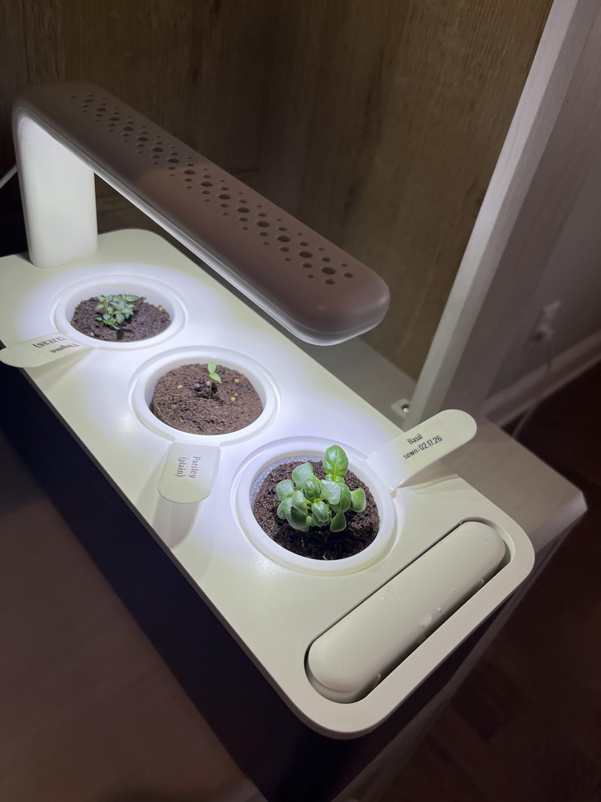 Click & Grow Indoor Herb Garden Kit with Grow Light | Smart Garden for Home Kitchen Windowsill customer photo 1