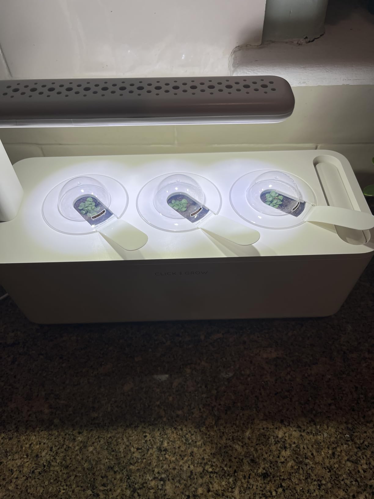 Click & Grow Indoor Herb Garden Kit with Grow Light | Smart Garden for Home Kitchen Windowsill customer photo 2