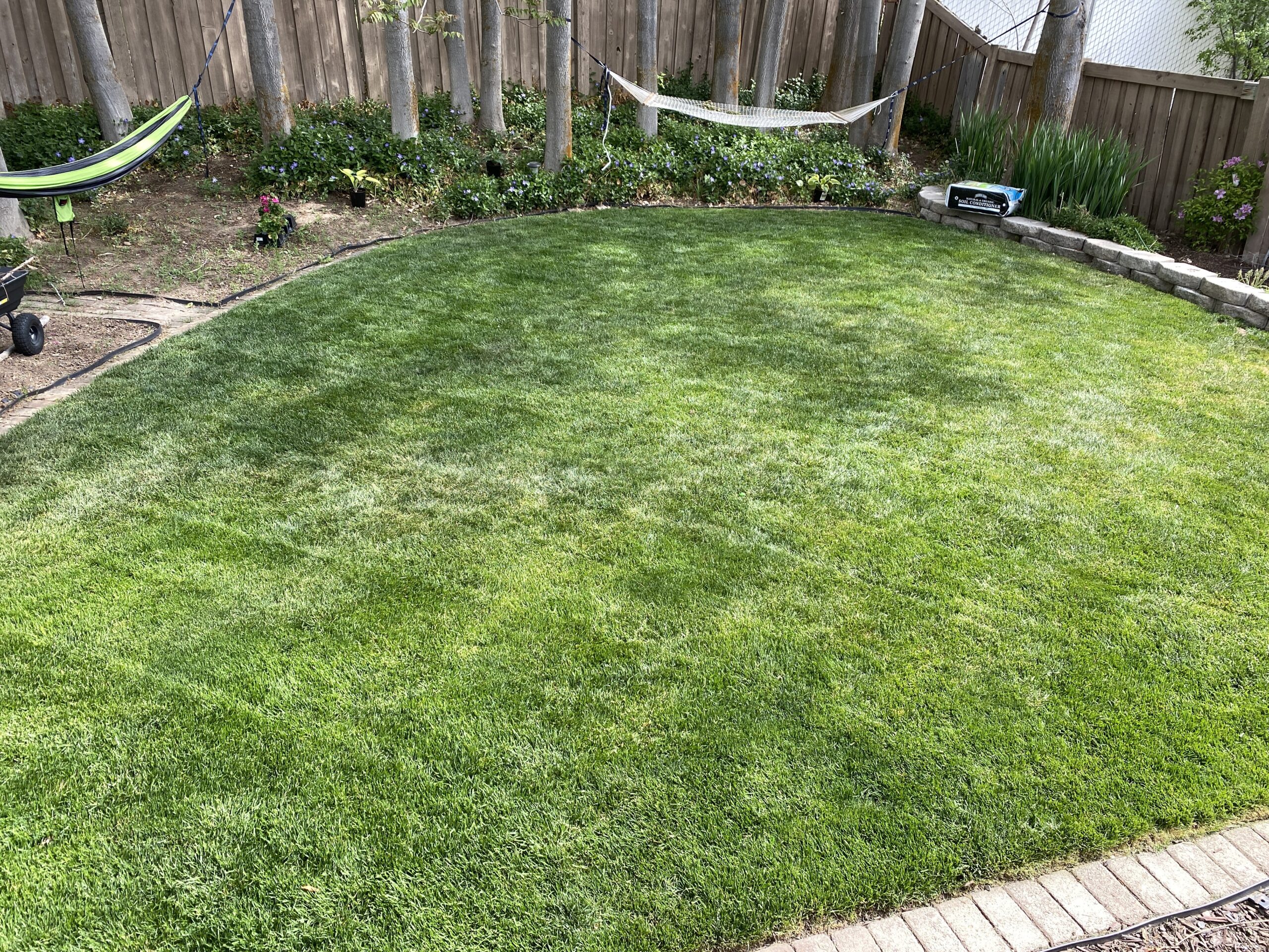 BLACK+DECKER 40V MAX 13 Inch String Trimmer and Lawn Edger with Battery and Charger, Cordless Weed Eater with Charge Indicator, High Torque PowerDrive Technology (LST140C) customer photo 1